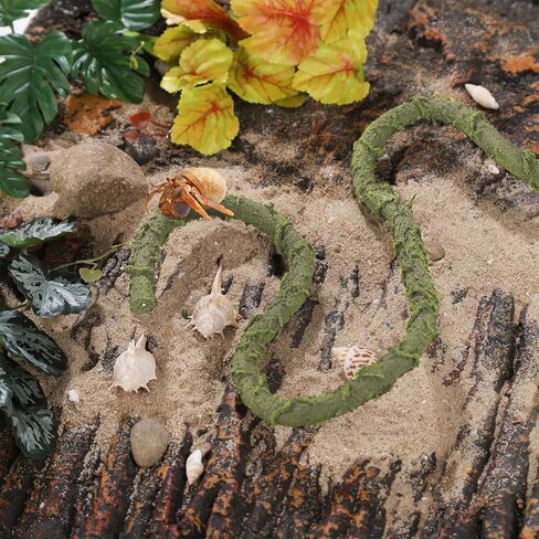 ألعاب تسلق سرطان البحر الناسك للخزان، كرمة الغابة للزواحف، زينة فرع تسلق سرطان البحر الناسك كروم الزواحف للتسلق - أخضر (خشبي، 99 * 0.7 بوصة) in Kuwait