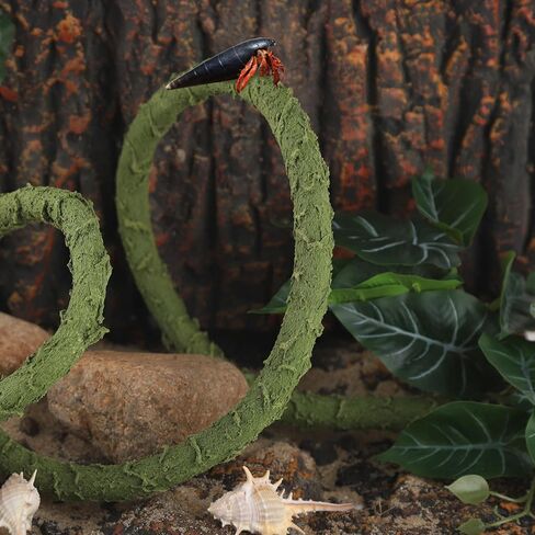 ألعاب تسلق سرطان البحر الناسك للخزان، كرمة الغابة للزواحف، زينة فرع تسلق سرطان البحر الناسك كروم الزواحف للتسلق - أخضر (خشبي، 99 * 0.7 بوصة) in Kuwait