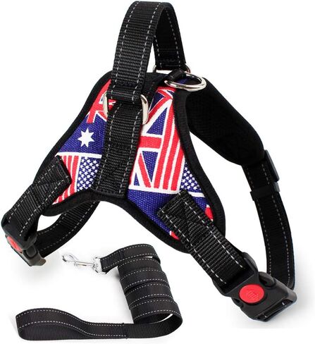 Dog Harness and Leash Set, Safety No Pull Adjustable with Soft Mesh Vest Harness for Small Dogs and Cats Easy Walk Outdoor (X-Large, Beige) in Saudi Arabia