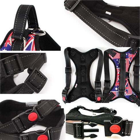 Dog Harness and Leash Set, Safety No Pull Adjustable with Soft Mesh Vest Harness for Small Dogs and Cats Easy Walk Outdoor (X-Large, Beige) in Saudi Arabia