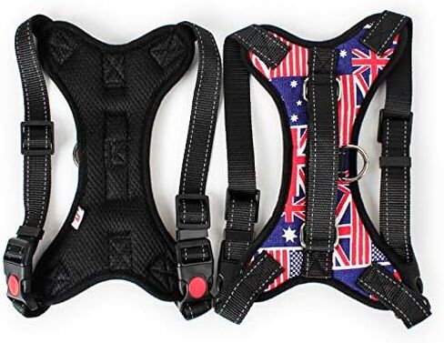 Dog Harness and Leash Set, Safety No Pull Adjustable with Soft Mesh Vest Harness for Small Dogs and Cats Easy Walk Outdoor (X-Large, Beige) in Saudi Arabia
