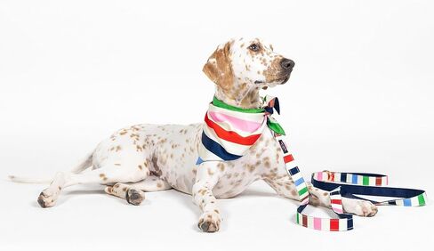 Kate Spade New York 4.5ft Dog Leash, Heavy Duty Leash for Female or Male Dogs, Cute Pet Leash with Gold Metal Hardware, Long Dog Lead for Small and Medium Breeds (Navy Gingham) in Saudi Arabia