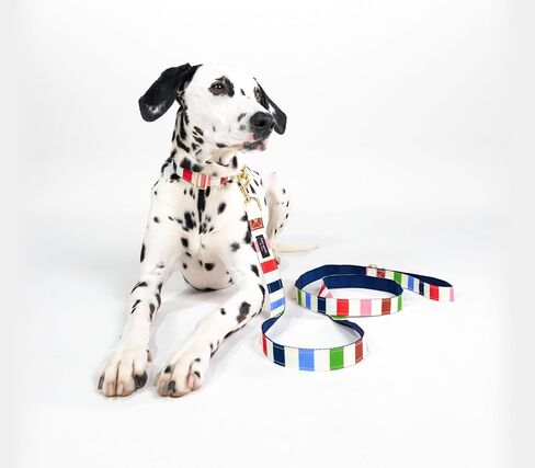 Kate Spade New York 4.5ft Dog Leash, Heavy Duty Leash for Female or Male Dogs, Cute Pet Leash with Gold Metal Hardware, Long Dog Lead for Small and Medium Breeds (Navy Gingham) in Saudi Arabia