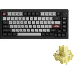 Akko 5075B Plus Mechanical Keyboard 75% Percent RGB Hot-swappable Keyboard with Knob, Blue on White Theme with PBT Double Shot ASA Profile Keycaps Wine White Switch