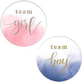120Pcs Watercolor Gender Show Stickers Boy or Girl Stickers for Gender Post Team Pink Team Blue Sticker Baby Shower Games Labels Sticker Small