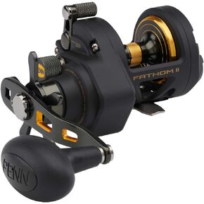 PENN Fathom II Star Drag Conventional Fishing Reel, Black Gold, 25N