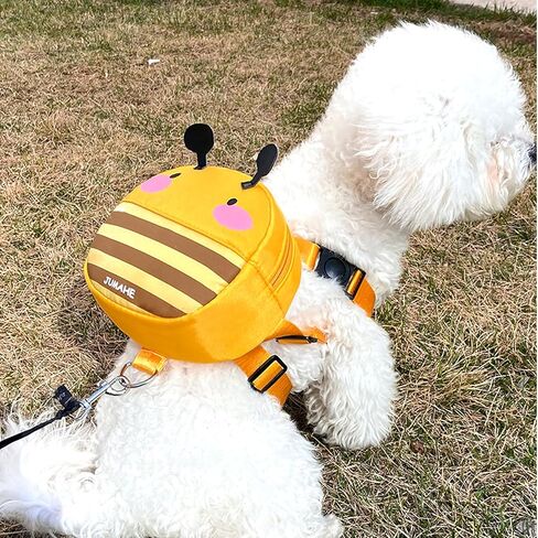 Alfie Pet - Samira Pet Bee Backpack Harness with Leash Set for Dogs - Color: Bee in Kuwait