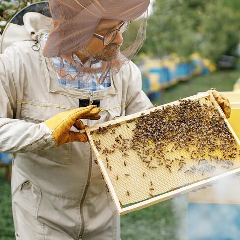 Funtery 12 قطعة رأس البعوض صافي شبكة الوجه يطير المعاوضة هود حماية الشمس قبعة صيد مع شبكة للرجال والنساء in Saudi Arabia