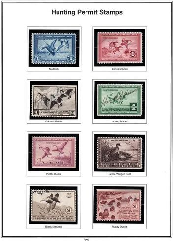 Stamp Mounts Black Background Precut Size E 22 x 25mm 400 Mounts in Kuwait