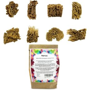 NAROA Artist Natural Sea Sponges for Painting 8 Pack | Unbleached Unique Art Tool Set | Suitable for Acrylic Watercolor, Marbling, Texturing, Pottery, Ceramics
