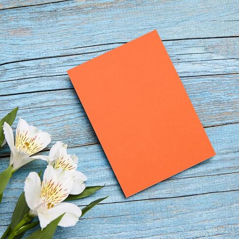 DMiotech 10 Pack 10 x 15 Inch Sanded Pastel Art Papers Orange Cardstock Papers 160GSM Scrapbooking Pastel Papers for Creative Invitations Crafts Office Home DIY in Saudi Arabia