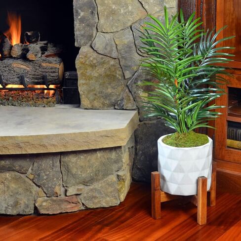 Mosser Lee ML0460 Natural Green Sheet Moss, 325 sq. in. in Saudi Arabia