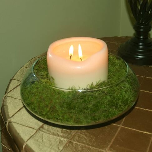 Mosser Lee ML0460 Natural Green Sheet Moss, 325 sq. in. in Saudi Arabia