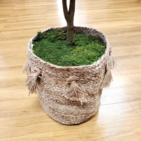 Mosser Lee ML0460 Natural Green Sheet Moss, 325 sq. in. in Saudi Arabia