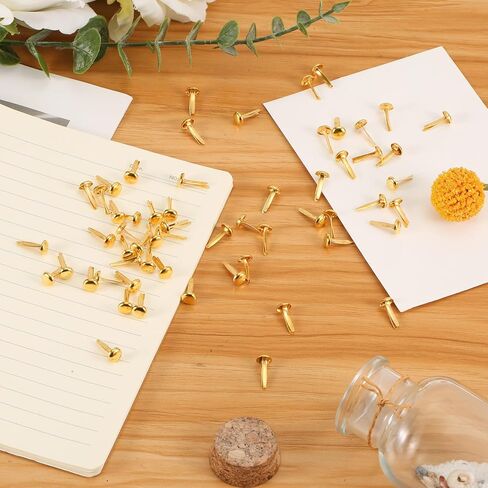 150pcs Paper Fasteners, Mini Brad Round Fastener Paper Clips for Paper Crafts Round Split Pins Scrapbooking Brass Fasteners for Kids Craft Cards Photo Walls (Gold) in Saudi Arabia