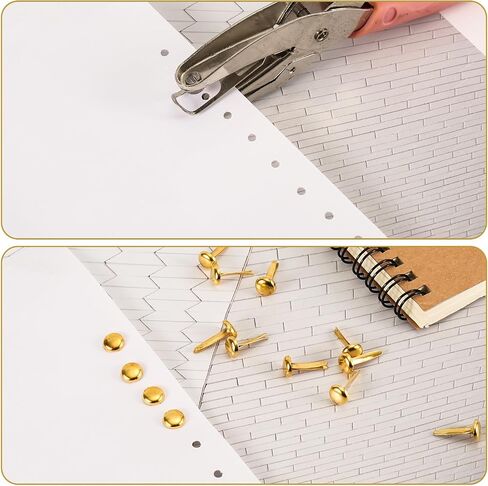 150pcs Paper Fasteners, Mini Brad Round Fastener Paper Clips for Paper Crafts Round Split Pins Scrapbooking Brass Fasteners for Kids Craft Cards Photo Walls (Gold) in Saudi Arabia