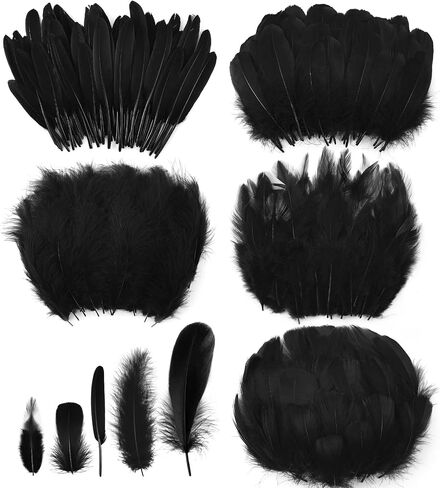 500 Pcs Halloween Black Assorted Crafts Feathers 4 Styles Mixed Feathers Black Feathers for Crafts Chicken Turkey Goose Feathers Supplies for DIY Wedding Home Party Costume Clothing Accessories in Saudi Arabia