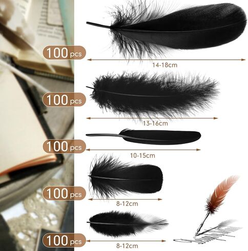 500 Pcs Halloween Black Assorted Crafts Feathers 4 Styles Mixed Feathers Black Feathers for Crafts Chicken Turkey Goose Feathers Supplies for DIY Wedding Home Party Costume Clothing Accessories in Saudi Arabia