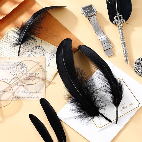 500 Pcs Halloween Black Assorted Crafts Feathers 4 Styles Mixed Feathers Black Feathers for Crafts Chicken Turkey Goose Feathers Supplies for DIY Wedding Home Party Costume Clothing Accessories in Saudi Arabia