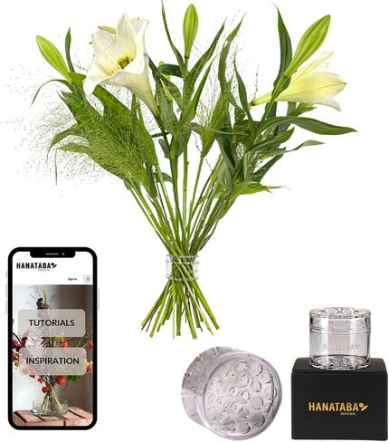 Hanataba Original, Bouquet Holder, 2 pcs Champagne Gold, The Original Spiral Ikeabana Stem Holder, Hanataba Flower Arranger Twist Invented in Sweden, in Saudi Arabia
