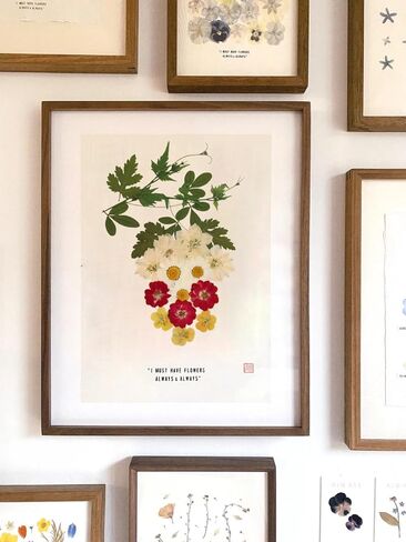 زهور مضغوطة حقيقية، زهور طبيعية مجففة مضغوطة لقالب راتنجات الإيبوكسي، صناعة الورق، إطار فني، صناعة الشموع، لوازم الأعمال اليدوية اليدوية، مجموعات المبتدئين in Kuwait