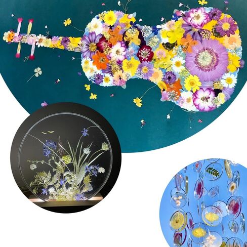 زهور مضغوطة حقيقية، زهور طبيعية مجففة مضغوطة لقالب راتنجات الإيبوكسي، صناعة الورق، إطار فني، صناعة الشموع، لوازم الأعمال اليدوية اليدوية، مجموعات المبتدئين in Kuwait