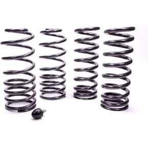 Ford Racing M-5300-G Coil Spring Kit for Ford Mustang