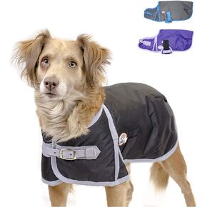 Derby Originals Horse Tough 600D Ripstop Waterproof Winter Dog Coat 150g Medium Weight