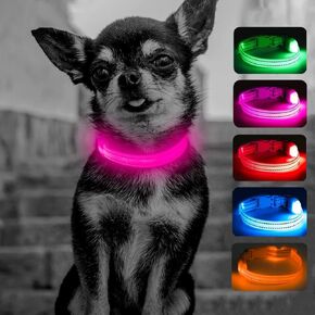 Candofly Puppy Collar Light Up Dog Collar USB Rechargeable LED Dog Collar for Small Dogs Cats Night Walking (X-Small, Pink)