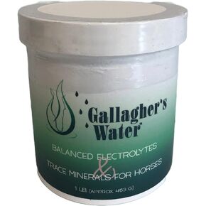 Gallagher's Water Balanced Electrolytes and Trace Minerals for Horses, 1LB
