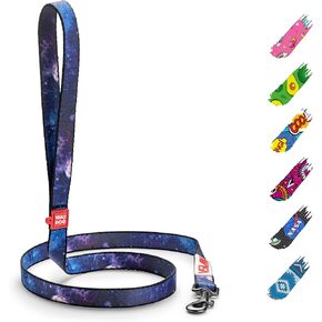 WAUDOG Nylon 4 Ft Dog Leash for Small, Medium & Large Dogs