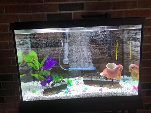 15 inch Aquarium Titanic Shipwreck Decorations Shipwreck Aquarium Decorations Sunken Ship Aquarium Decorations Titanic Decor in Kuwait