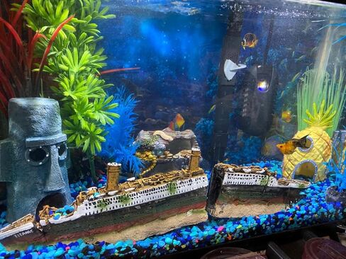 15 inch Aquarium Titanic Shipwreck Decorations Shipwreck Aquarium Decorations Sunken Ship Aquarium Decorations Titanic Decor in Kuwait