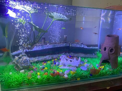 15 inch Aquarium Titanic Shipwreck Decorations Shipwreck Aquarium Decorations Sunken Ship Aquarium Decorations Titanic Decor in Kuwait