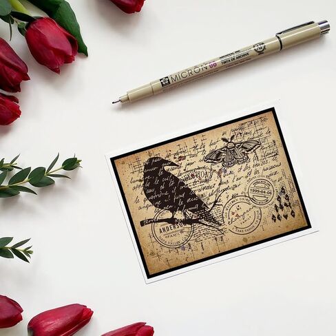 CHGCRAFT Crow Clear Stamps Birds Silicone Stamps Feather Background Transparent Stamps for Card Making DIY Scrapbooking Photo Album Decoration，5.83x8.23inch in Saudi Arabia