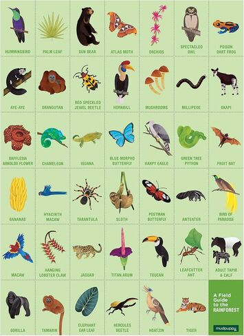 Mudpuppy African Safari — 64 Piece Search & Find Puzzle Jigsaw Puzzle Featuring Diverse Safari Animals and Over 40 Hidden Images to Find for Ages 4+ in Saudi Arabia