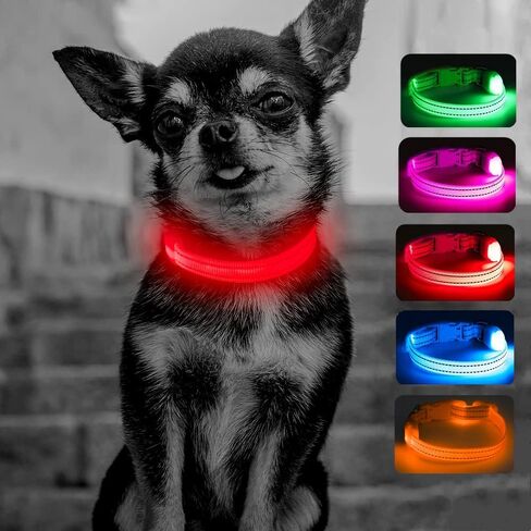 Candofly Puppy Collar Light Up Dog الياقات - USB القابلة لإعادة الشحن LED الكلب طوق دائم النايلون طوق الحيوانات الأليفة أضواء الكلب للمشي ليلا والتخييم (X-Small، وردي) in Kuwait