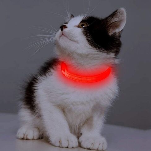 Candofly Puppy Collar Light Up Dog الياقات - USB القابلة لإعادة الشحن LED الكلب طوق دائم النايلون طوق الحيوانات الأليفة أضواء الكلب للمشي ليلا والتخييم (X-Small، وردي) in Kuwait