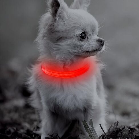 Candofly Puppy Collar Light Up Dog الياقات - USB القابلة لإعادة الشحن LED الكلب طوق دائم النايلون طوق الحيوانات الأليفة أضواء الكلب للمشي ليلا والتخييم (X-Small، وردي) in Kuwait