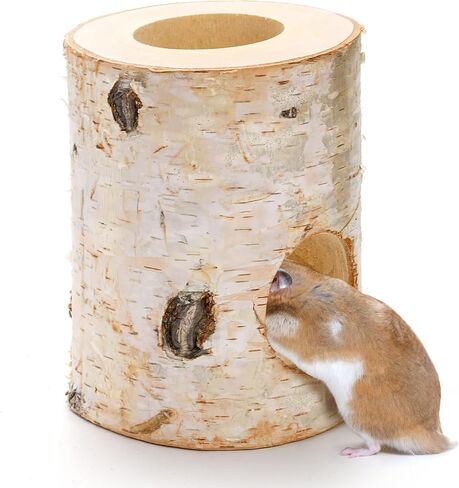Natural Wood Hamster Hideout Tunnel, Mouse Tube Climbing Toy, Hollow Tree Trunk Decor, Reptile Shelter Sleeping Cave for Hermit Crabs, Lizard Terrarium in Saudi Arabia