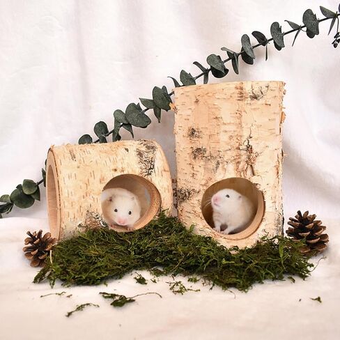 Natural Wood Hamster Hideout Tunnel, Mouse Tube Climbing Toy, Hollow Tree Trunk Decor, Reptile Shelter Sleeping Cave for Hermit Crabs, Lizard Terrarium in Saudi Arabia