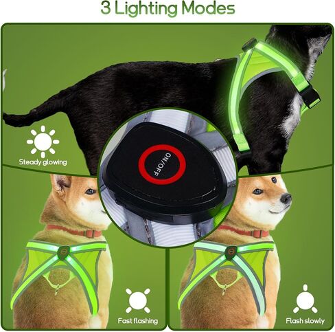 BEAUTIFABLE Light Up Dog Harness, No Pull LED Dog Vest with Leash, Lighted Rechargeable Dog Vest Harness Perfect for Night Walking & Camping (X Large) in Kuwait