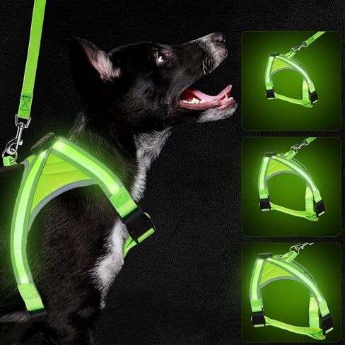 BEAUTIFABLE Light Up Dog Harness, No Pull LED Dog Vest with Leash, Lighted Rechargeable Dog Vest Harness Perfect for Night Walking & Camping (X Large) in Kuwait
