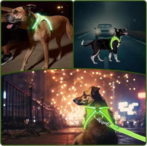 BEAUTIFABLE Light Up Dog Harness, No Pull LED Dog Vest with Leash, Lighted Rechargeable Dog Vest Harness Perfect for Night Walking & Camping (X Large) in Kuwait