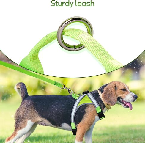 BEAUTIFABLE Light Up Dog Harness, No Pull LED Dog Vest with Leash, Lighted Rechargeable Dog Vest Harness Perfect for Night Walking & Camping (X Large) in Kuwait