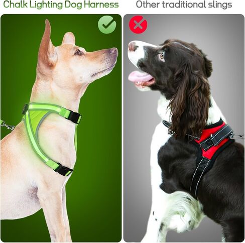 BEAUTIFABLE Light Up Dog Harness, No Pull LED Dog Vest with Leash, Lighted Rechargeable Dog Vest Harness Perfect for Night Walking & Camping (X Large) in Kuwait