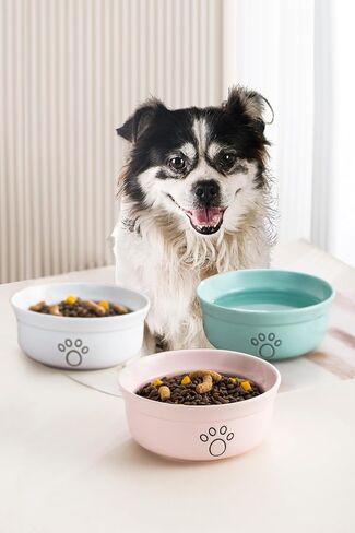 Ceramic Dog Bowls, Pet Feeding Bowls for Cats and Small Dogs 20 oz (6", Blue/Pink/White) in Saudi Arabia