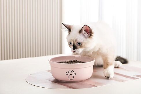 Ceramic Dog Bowls, Pet Feeding Bowls for Cats and Small Dogs 20 oz (6", Blue/Pink/White) in Saudi Arabia
