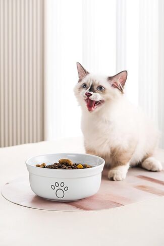 Ceramic Dog Bowls, Pet Feeding Bowls for Cats and Small Dogs 20 oz (6", Blue/Pink/White) in Saudi Arabia