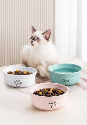 Ceramic Dog Bowls, Pet Feeding Bowls for Cats and Small Dogs 20 oz (6", Blue/Pink/White) in Saudi Arabia